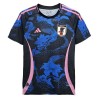 Fußball Trikot Japan Dragon Special 2024 Fußball Trikot Japan Dragon Special 2024